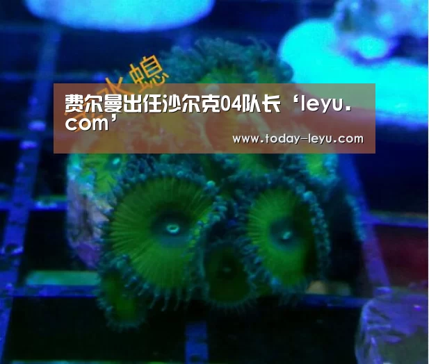 费尔曼出任沙尔克04队长‘leyu.com’(图1)