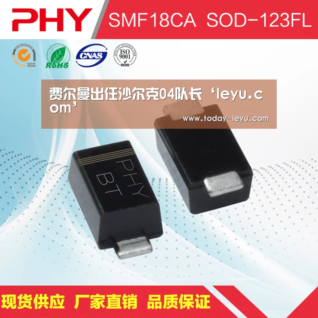 费尔曼出任沙尔克04队长‘leyu.com’(图2)